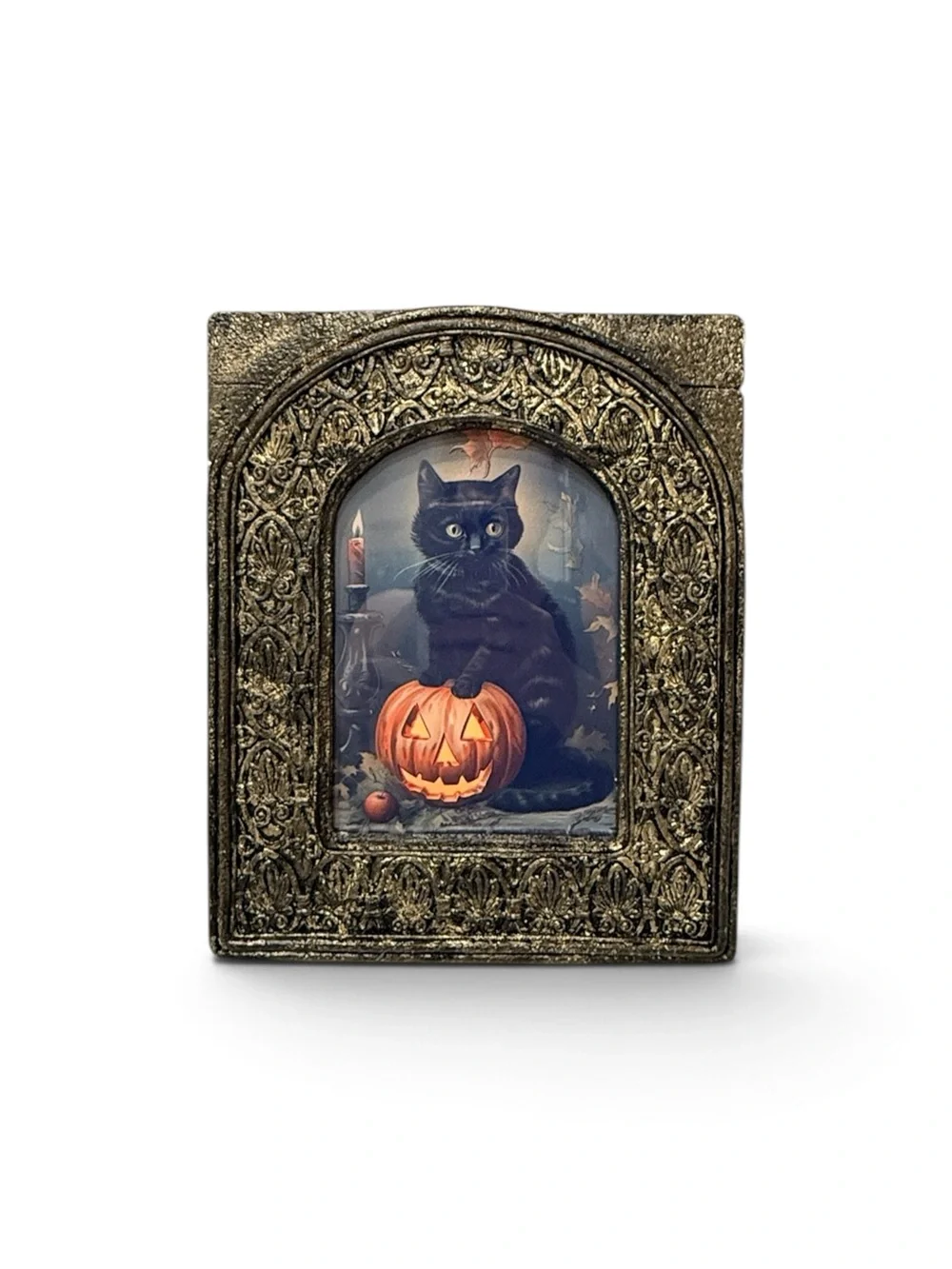 Vintage showcases black